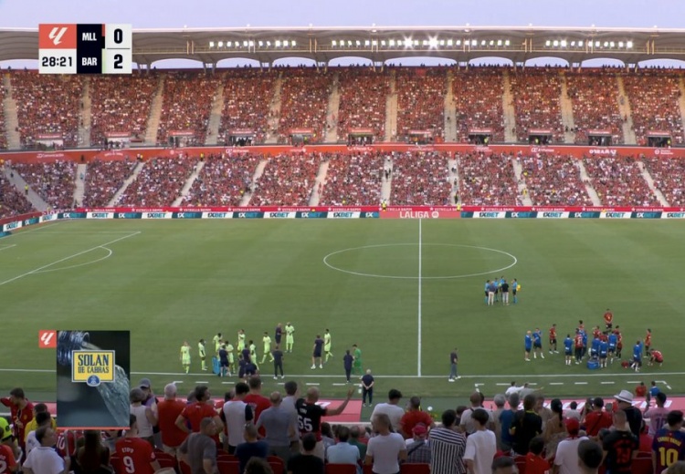 PG游戏下载-费兰-托雷斯进球被判有效，马洛卡球迷不满判罚全场高呼：滚出去